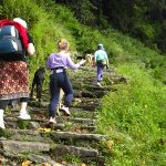 Sight-Seeing with Kids #Travelwithkids #BlogchatterA2Z