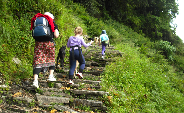 Trekking with Kids