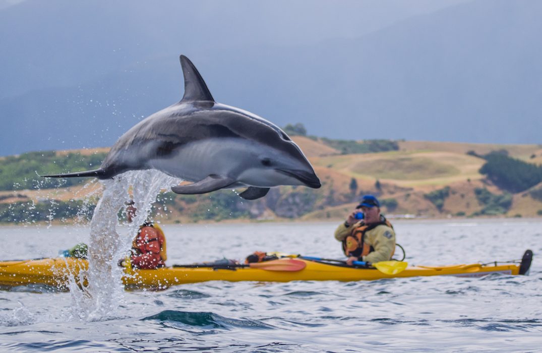 Kayaking with kids
