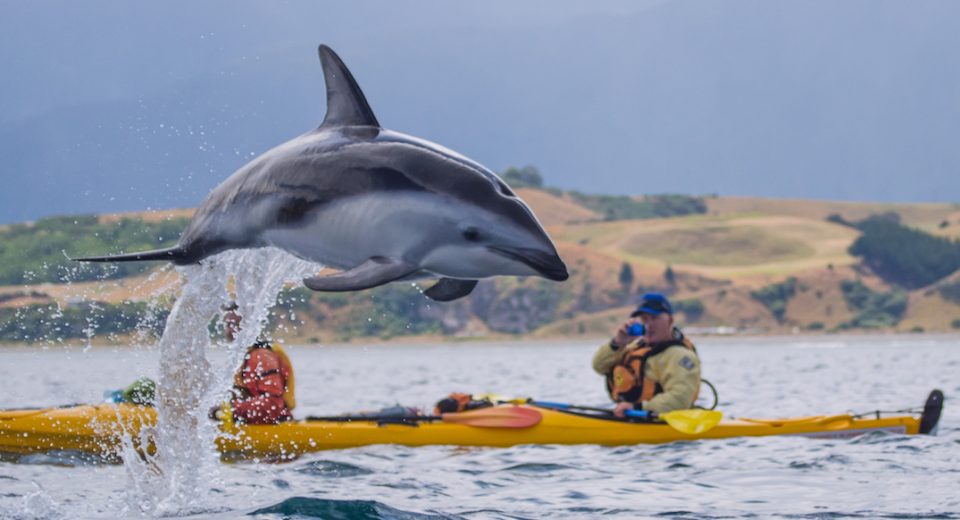 Kayaking with kids