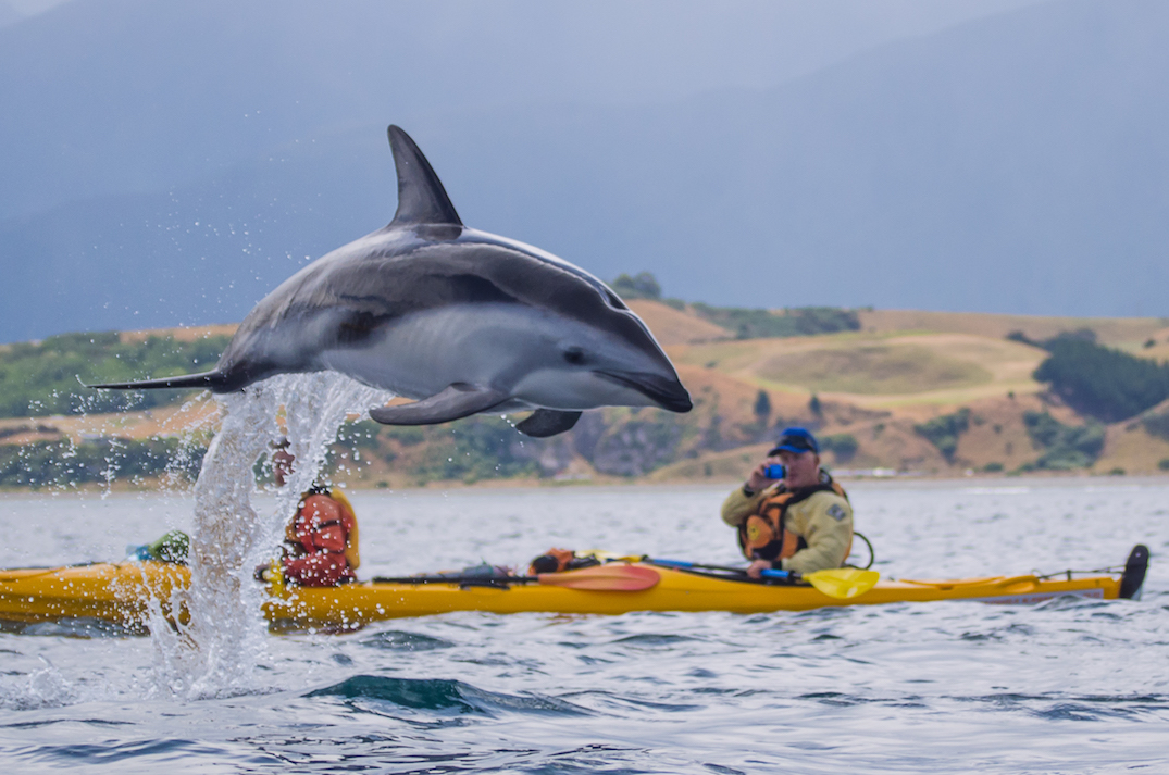 Kayaking with kids