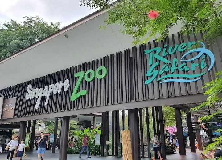 Zoo Visit with Kids