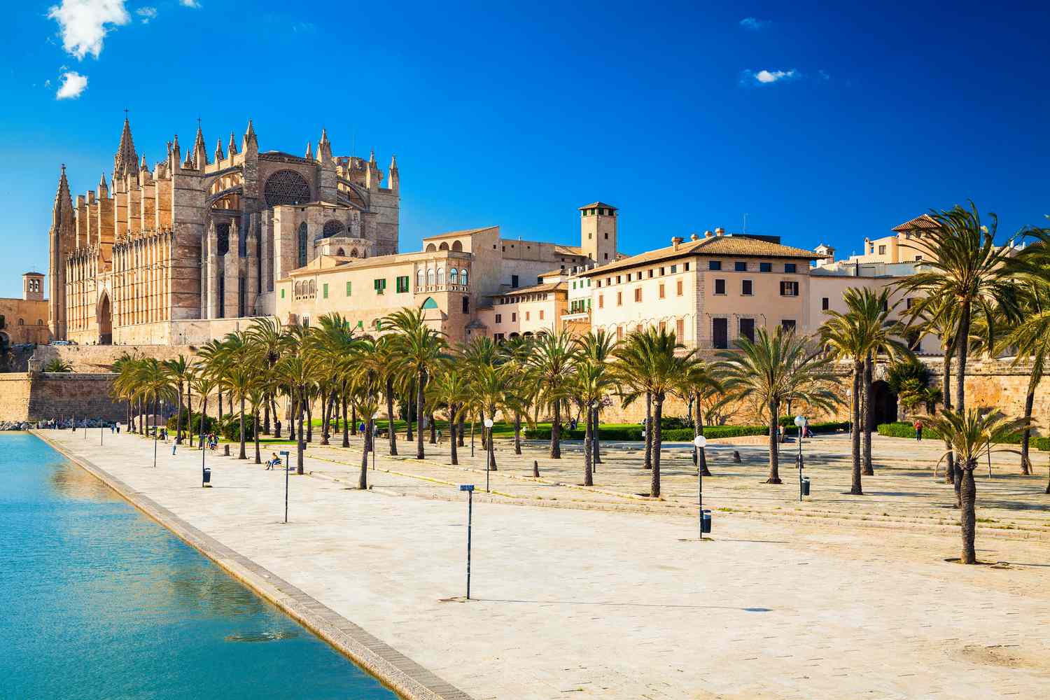 Visit Palma with Kids and Family